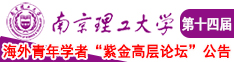 美女大胸啊啊啊啊南京理工大学第十四届海外青年学者紫金论坛诚邀海内外英才！